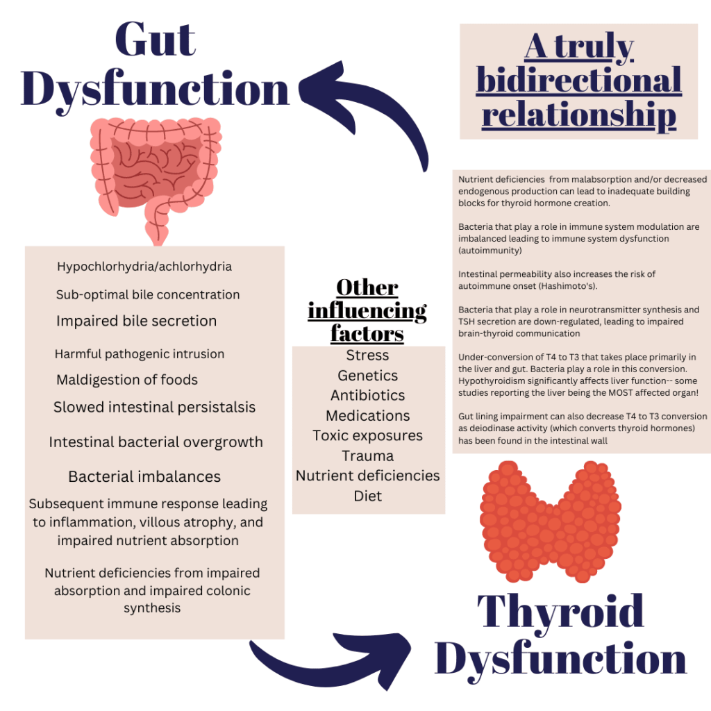 thyroid-disease-20-symptoms-the-surgical-clinic